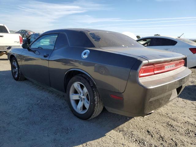 DODGE CHALLENGER 2013 gray  flexible fuel 2C3CDYAG0DH607663 photo #3