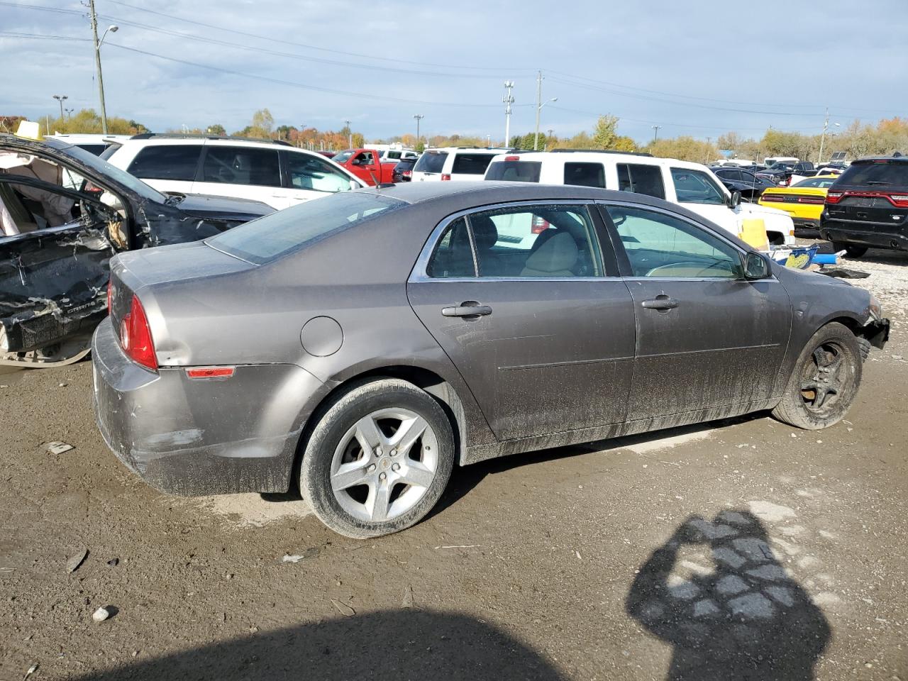 Lot #3009119297 2011 CHEVROLET MALIBU LS