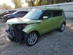 KIA SOUL + photo