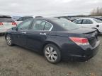 HONDA ACCORD EXL photo