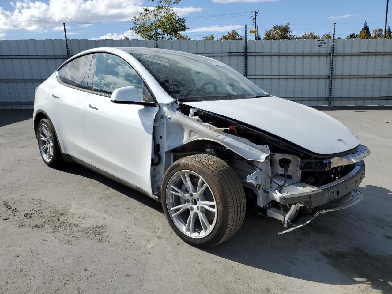 Lot #2989463572 2024 TESLA MODEL Y