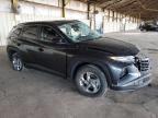 Lot #3027239282 2024 HYUNDAI TUCSON SEL