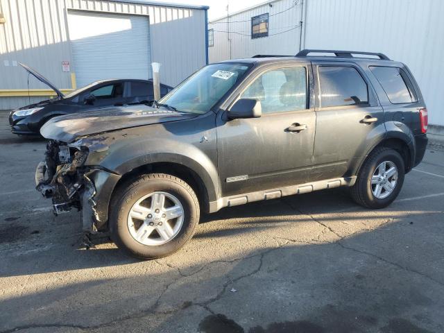 FORD ESCAPE HEV 2008 blue  hybrid engine 1FMCU49H58KA66234 photo #1