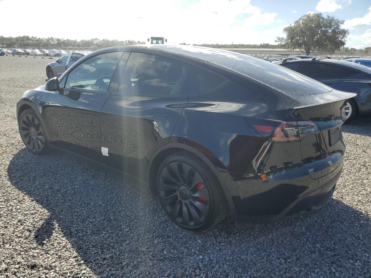 Lot #2989157728 2024 TESLA MODEL Y