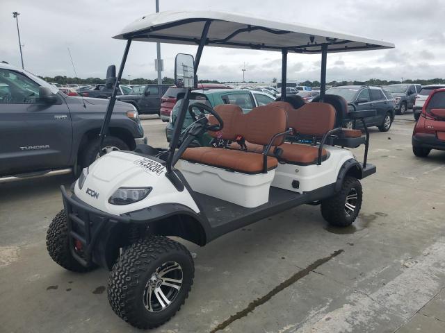 ASPT GOLF CART 2024 two tone   FLA132663 photo #3