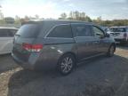 HONDA ODYSSEY SE 5FNRL5H34GB026803 снимка