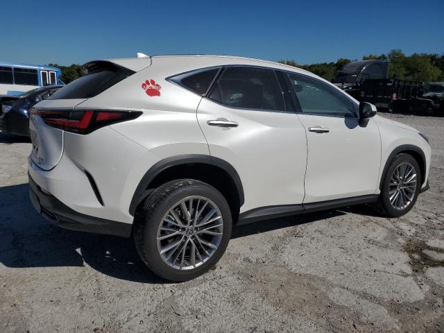 LEXUS NX 350H 2023 white  hybrid engine JTJHKCEZ7P2013703 photo #4