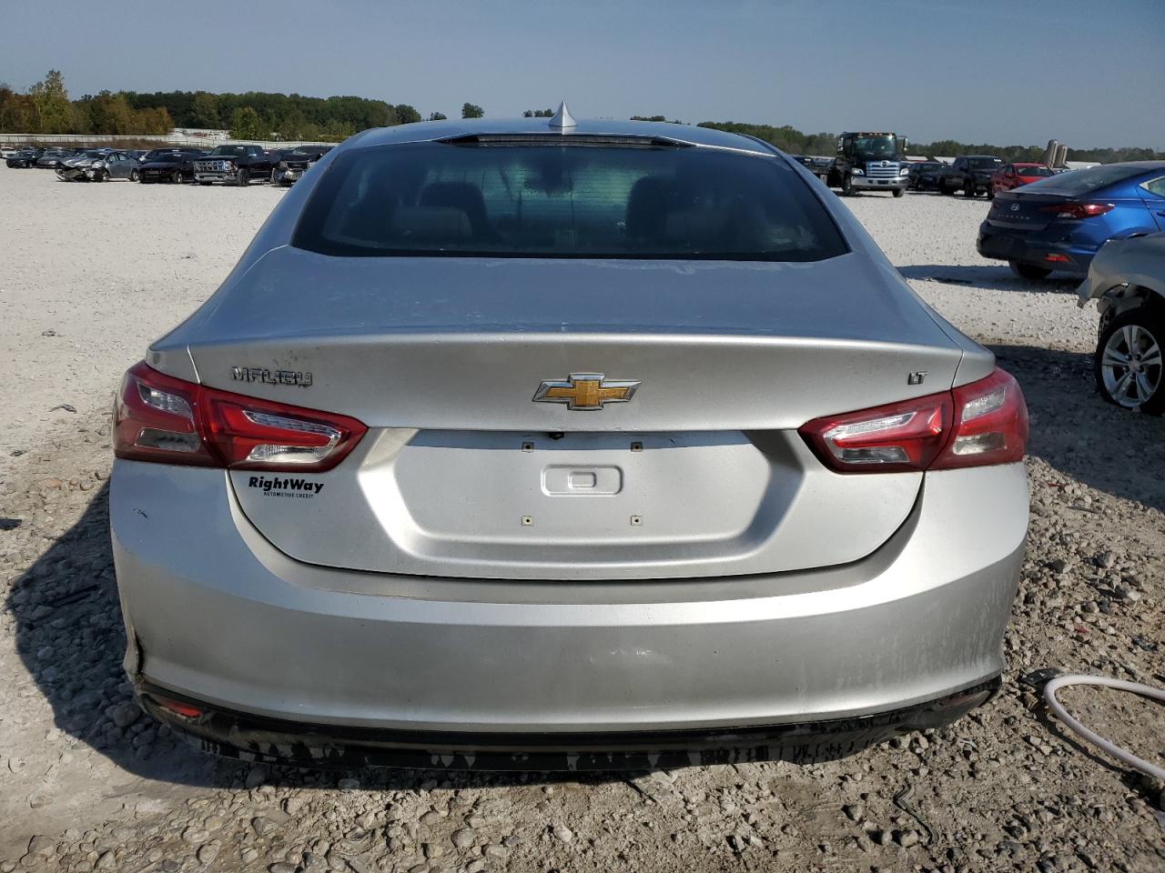 Lot #2960243428 2019 CHEVROLET MALIBU LT