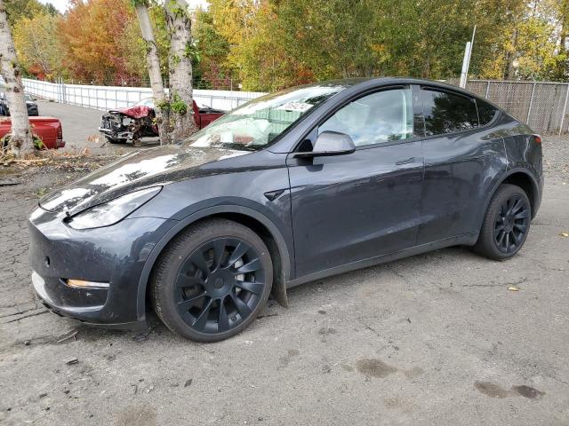 TESLA MODEL Y 2024 gray  electric 7SAYGAEE8RF004842 photo #1