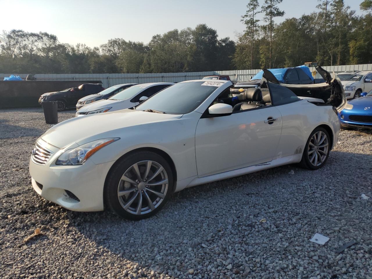 Lot #2938030299 2009 INFINITI G37 BASE