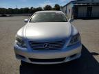 LEXUS LS 460L photo