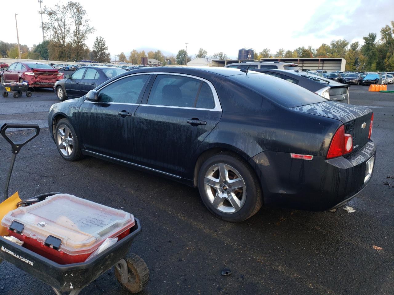 Lot #2970081288 2009 CHEVROLET MALIBU 1LT