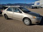 Lot #3009385550 2004 TOYOTA COROLLA CE