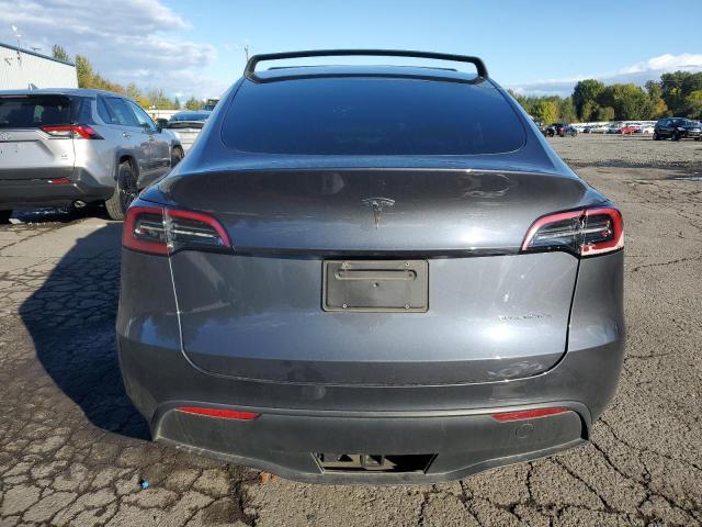 2023 TESLA MODEL Y - 7SAYGDEEXPF598767