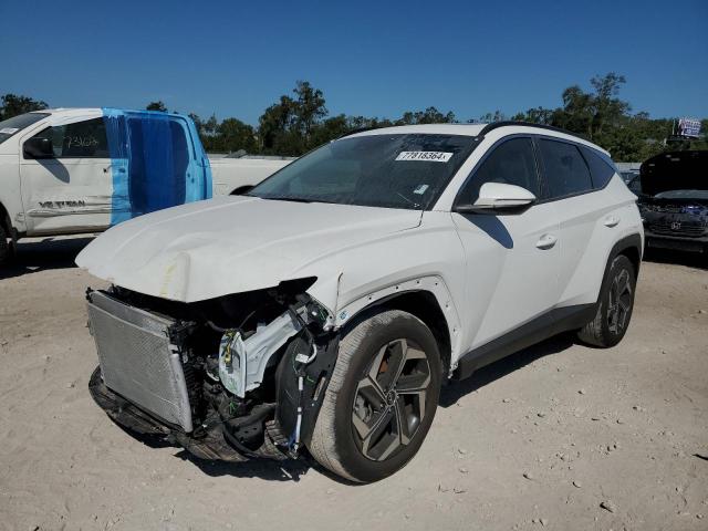 2024 HYUNDAI TUCSON SEL #2994203420