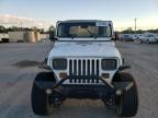 JEEP WRANGLER / photo