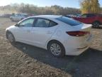 HYUNDAI ELANTRA SE photo