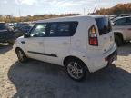 KIA SOUL + photo