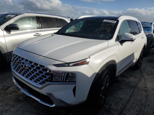 2023 HYUNDAI SANTA FE S - 5NMS3DA11PH006172