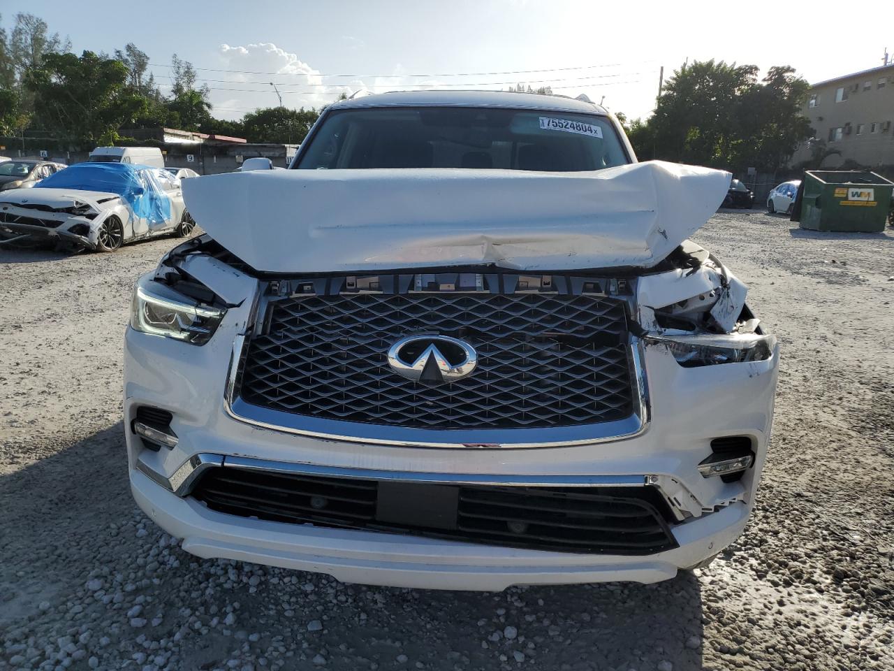 INFINITI QX80 2019