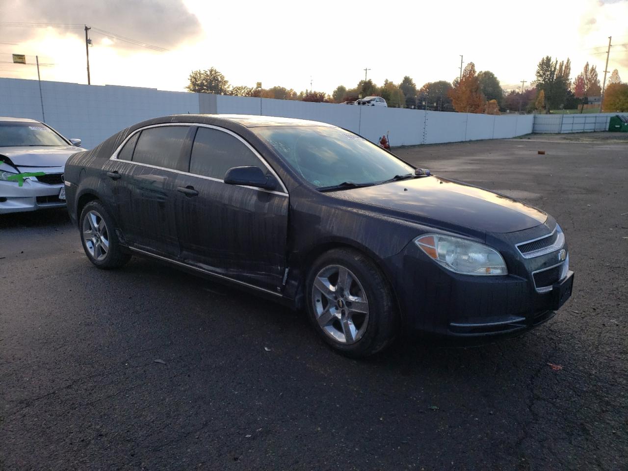 Lot #2970081288 2009 CHEVROLET MALIBU 1LT