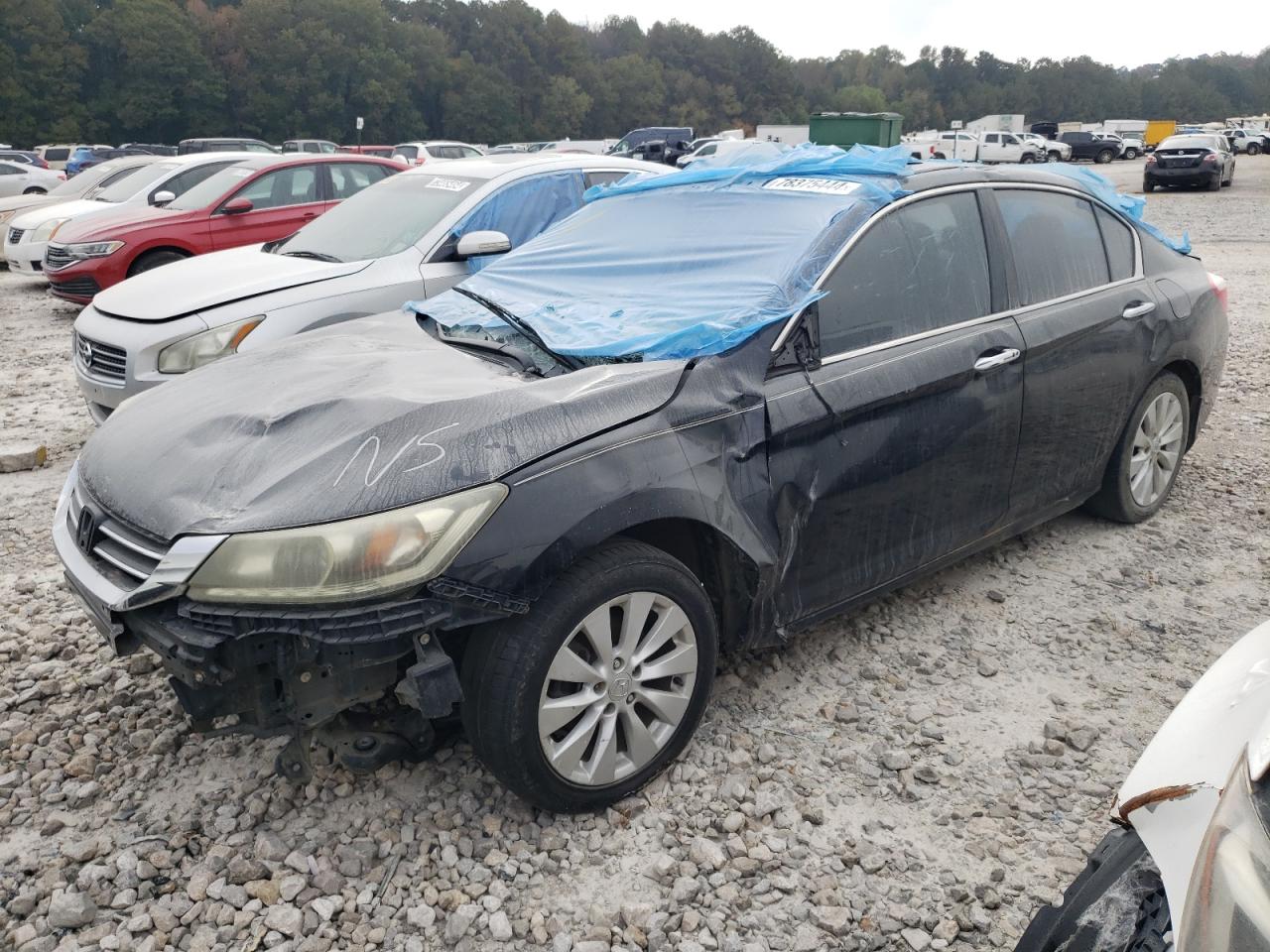 Lot #2942919289 2014 HONDA ACCORD EXL