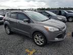 FORD ESCAPE SEL photo