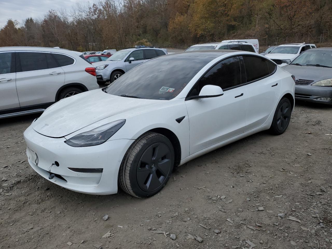 Lot #2994088389 2022 TESLA MODEL 3