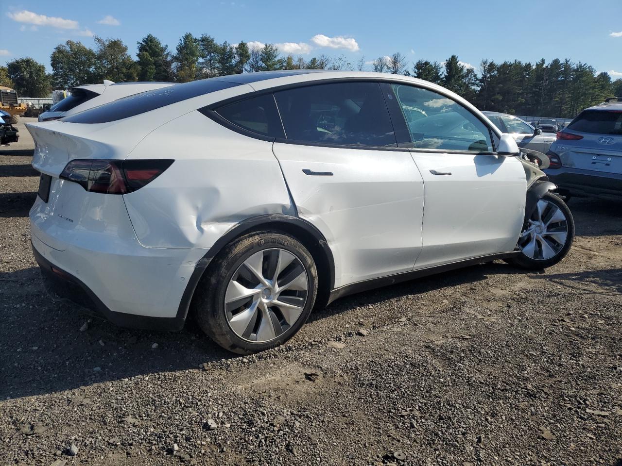 Lot #2962553818 2022 TESLA MODEL Y