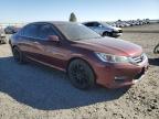 HONDA ACCORD EX photo