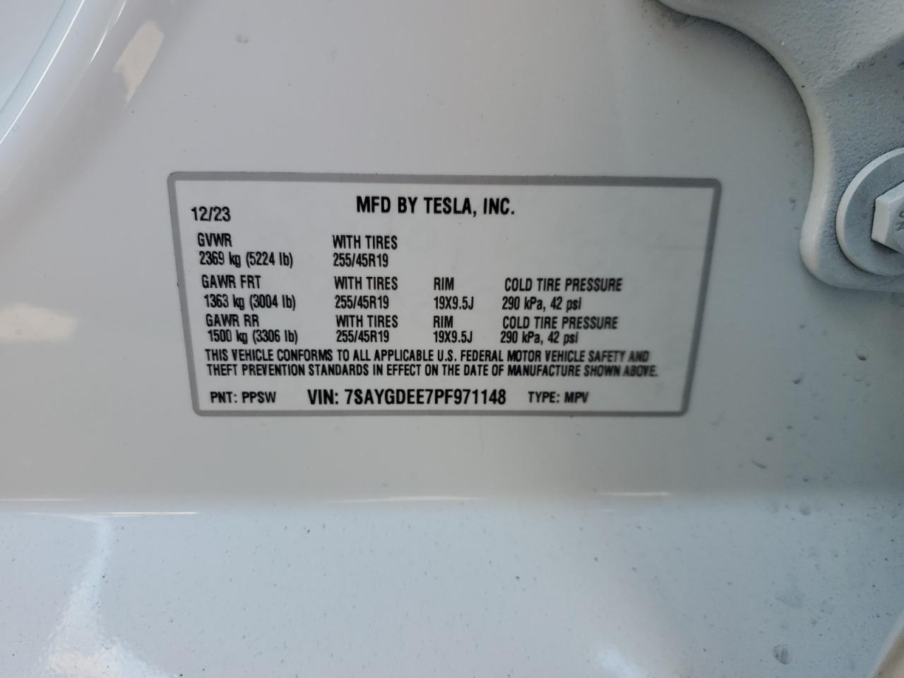 Lot #3030426502 2023 TESLA MODEL Y