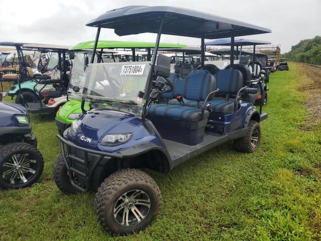 ASPT GOLF CART 2021 blue   FLA116724 photo #3