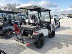 Lot #3025203685 2023 BINT GOLFCART