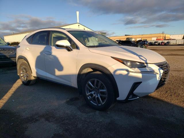 2020 LEXUS NX 300 JTJGARDZ7L5000249