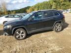 2019 JEEP CHEROKEE L - 1C4PJMDN1KD490159