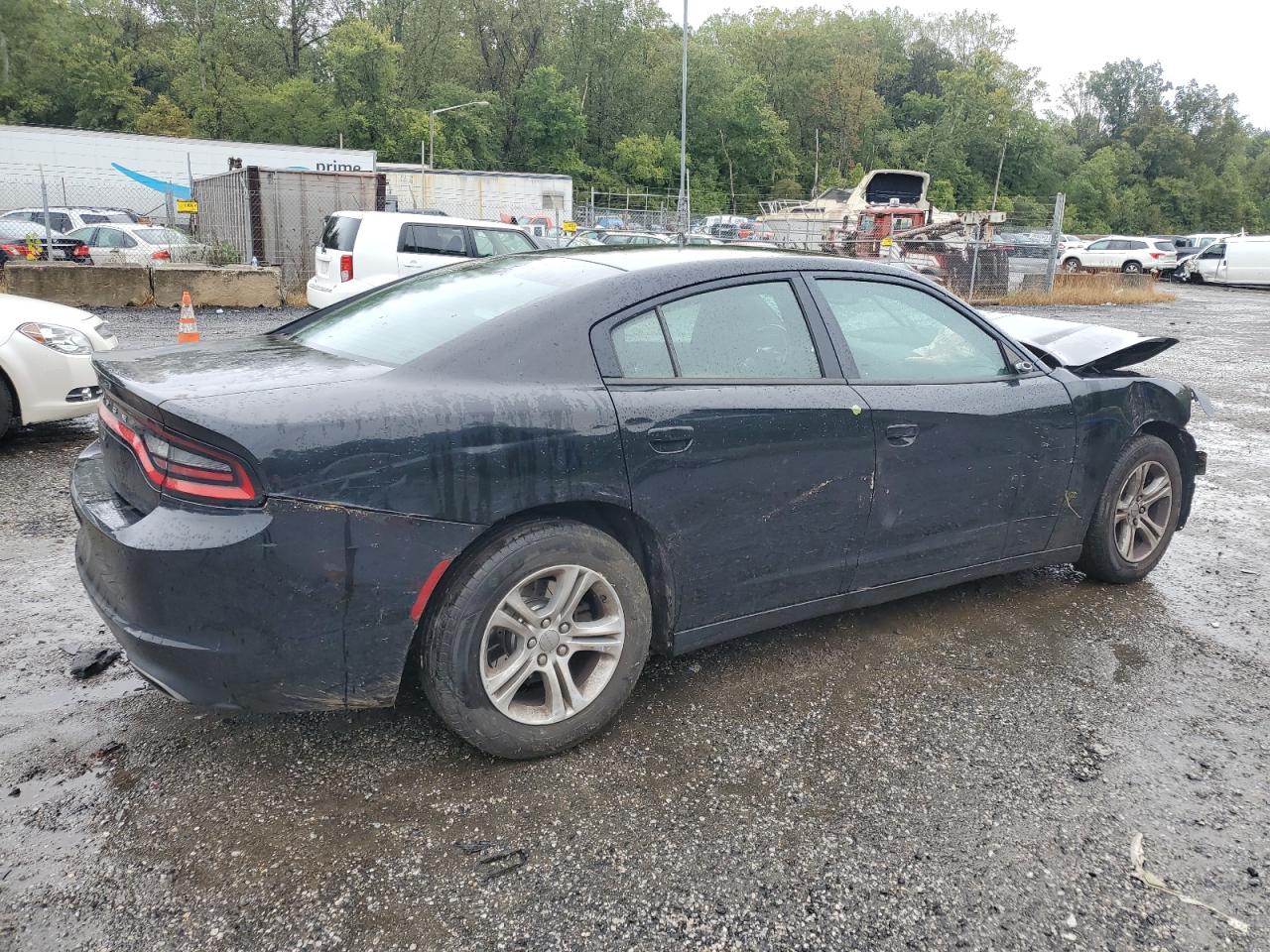 Lot #2919282633 2016 DODGE CHARGER SE