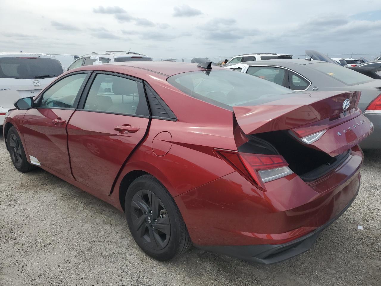 Lot #2986712325 2023 HYUNDAI ELANTRA BL