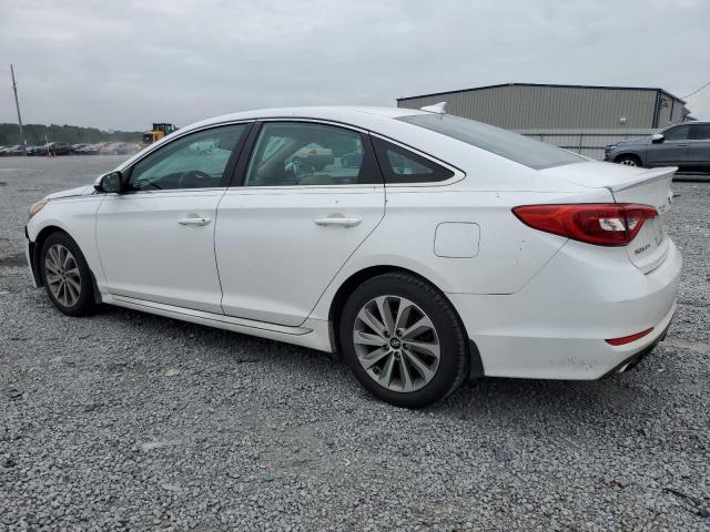 2015 HYUNDAI SONATA SPO - 5NPE34AFXFH213475