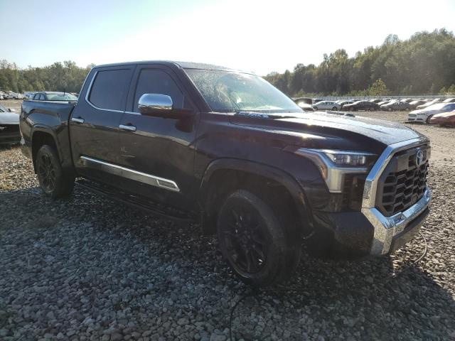 2024 TOYOTA TUNDRA CRE - 5TFMC5DB1RX073108