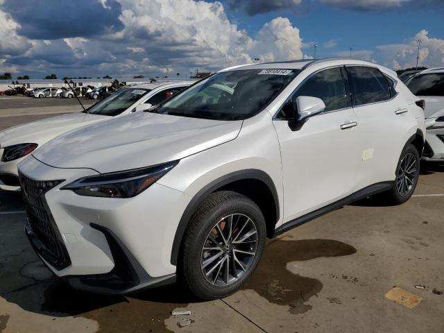 2024 LEXUS NX 250 PRE #2996151402