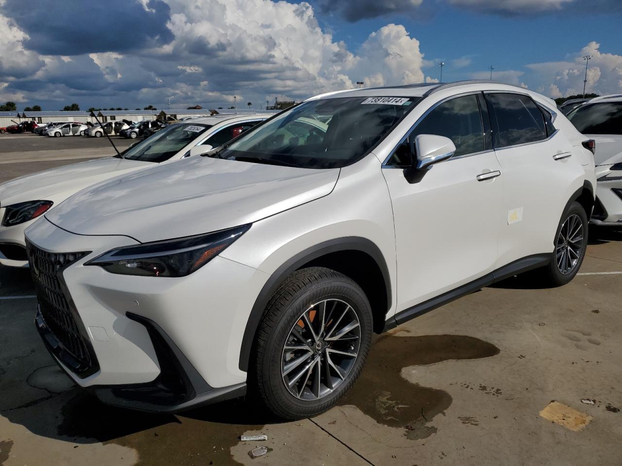 Lot #2996151402 2024 LEXUS NX 250 PRE