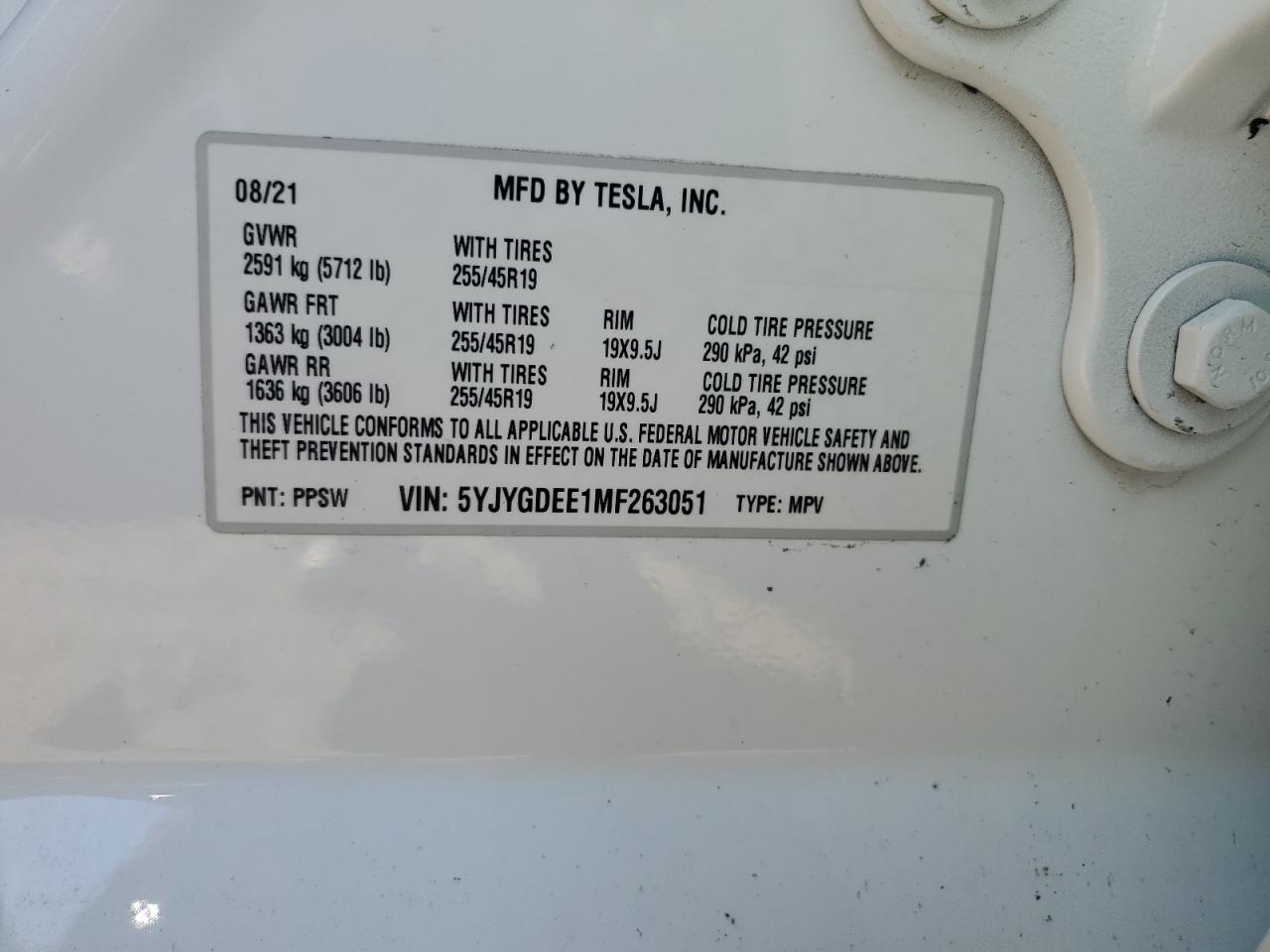 Lot #3029154890 2021 TESLA MODEL Y