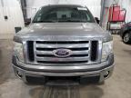 FORD F150 SUPER photo