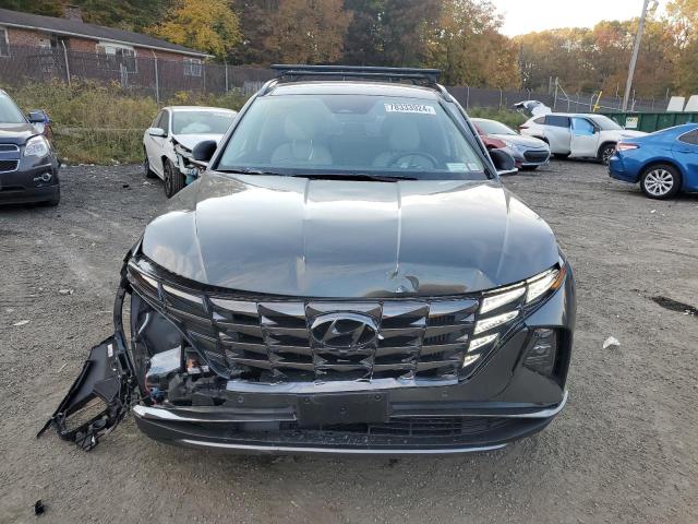 2023 HYUNDAI TUCSON LIM - KM8JECA1XPU086432