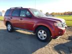 FORD ESCAPE XLT photo