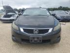 HONDA ACCORD EX photo