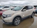 2019 HONDA CR-V EX - 5J6RW2H51KL010646
