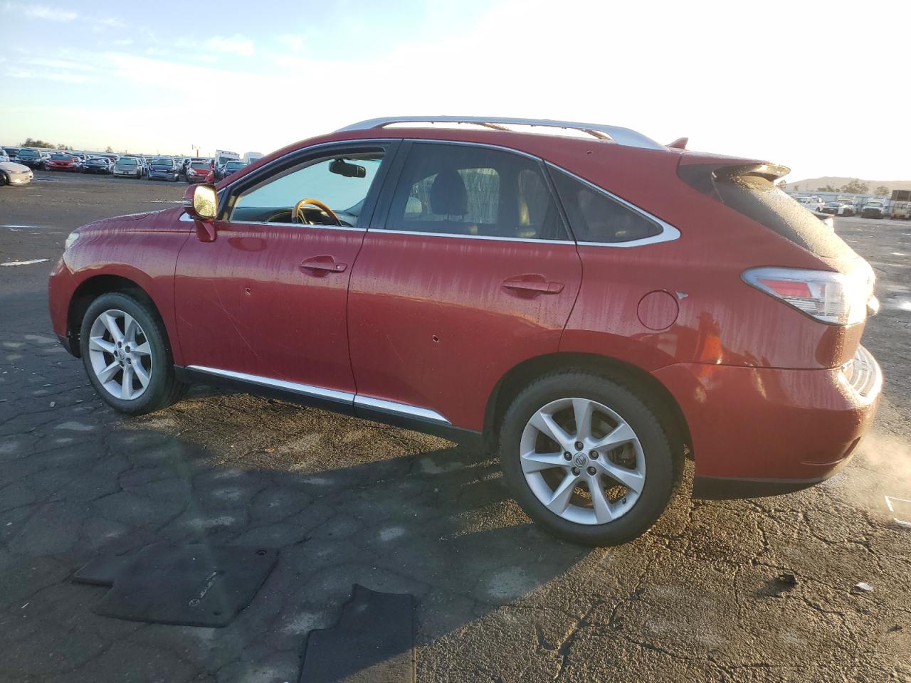 Lot #3030461478 2010 LEXUS RX 350