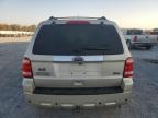 Lot #3024733199 2012 FORD ESCAPE LIM