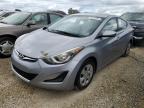 HYUNDAI ELANTRA SE photo